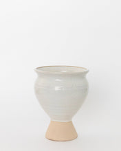 Load image into Gallery viewer, Dipped Flower Pot
