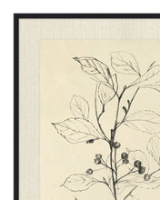 Load image into Gallery viewer, Floral Study 2