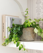 Load image into Gallery viewer, Found Granite Pot