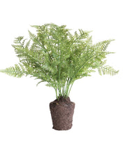 Load image into Gallery viewer, Faux Fern Drop-In
