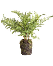 Load image into Gallery viewer, Faux Fern Drop-In
