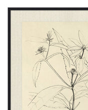 Load image into Gallery viewer, Floral Study 3
