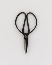 Load image into Gallery viewer, Gardening Shears
