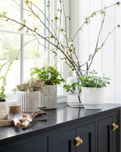 Load image into Gallery viewer, Matte White Burbank Planter
