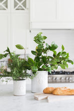 Load image into Gallery viewer, Miller Laurel Farmhouse Crock
